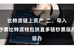 比特派链上资产 二、导入钞票比特派钱包扶直多链钞票惩办