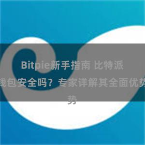 Bitpie新手指南 比特派钱包安全吗？专家详解其全面优势