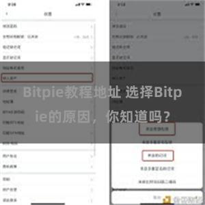 Bitpie教程地址 选择Bitpie的原因，你知道吗？