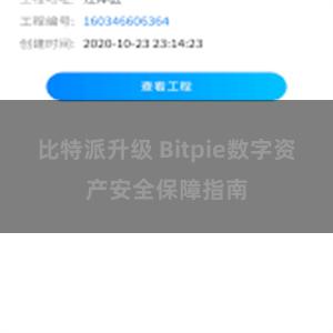 比特派升级 Bitpie数字资产安全保障指南