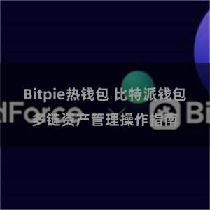 Bitpie热钱包 比特派钱包多链资产管理操作指南