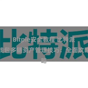 Bitpie安全教程 比特派钱包多链资产管理技巧：全面攻略