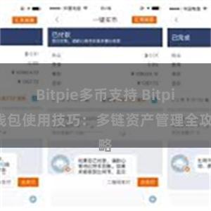 Bitpie多币支持 Bitpie钱包使用技巧：多链资产管理全攻略