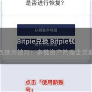 Bitpie兑换 Bitpie钱包使用技巧：多链资产管理全攻略