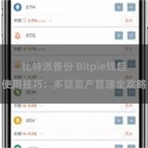 比特派备份 Bitpie钱包使用技巧：多链资产管理全攻略