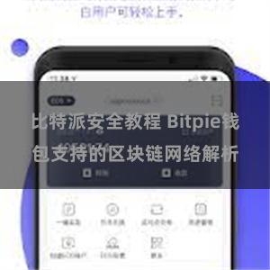 比特派安全教程 Bitpie钱包支持的区块链网络解析
