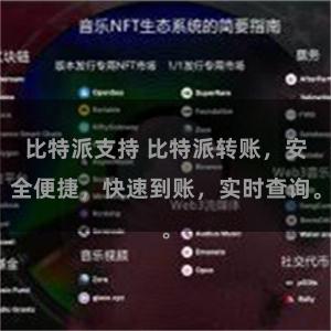 比特派支持 比特派转账，安全便捷，快速到账，实时查询。