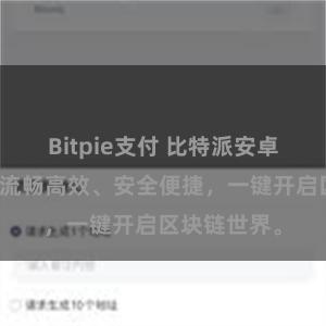 Bitpie支付 比特派安卓下载指南：流畅高效、安全便捷，一键开启区块链世界。