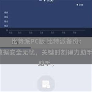 比特派PC版 比特派备份：数据安全无忧，关键时刻得力助手。