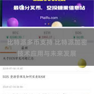 比特派多币支持 比特派加密技术应用与未来发展