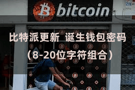 比特派更新 诞生钱包密码(8-20位字符组合)